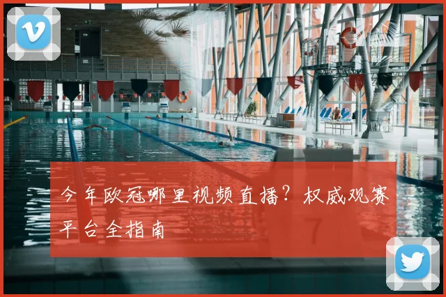 今年欧冠哪里视频直播？权威观赛平台全指南